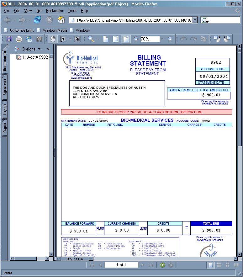 billing statement. Sample PDF Billing Statement